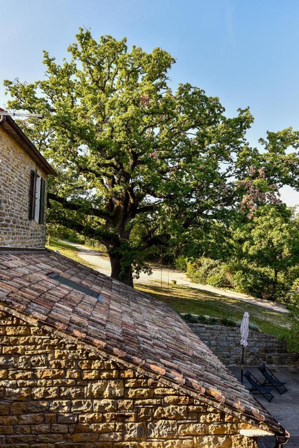 L'Abbraccio Della Quercia Apartman Momjan Kültér fotó