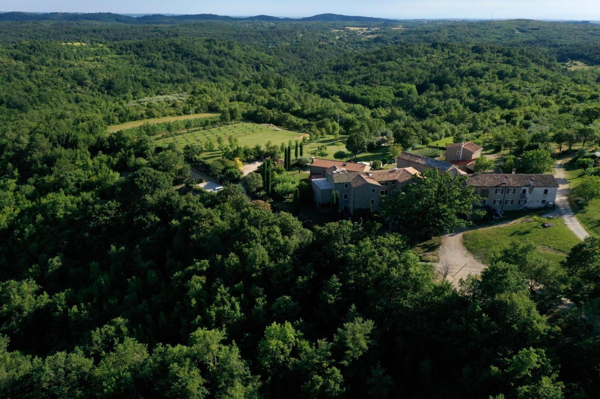 L'Abbraccio Della Quercia Apartman Momjan Kültér fotó